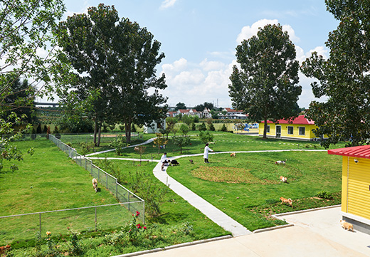 yd2333�ƶ�������Ϸ(�ɷ����޹�˾)-Baidu�ٿ�NO.1