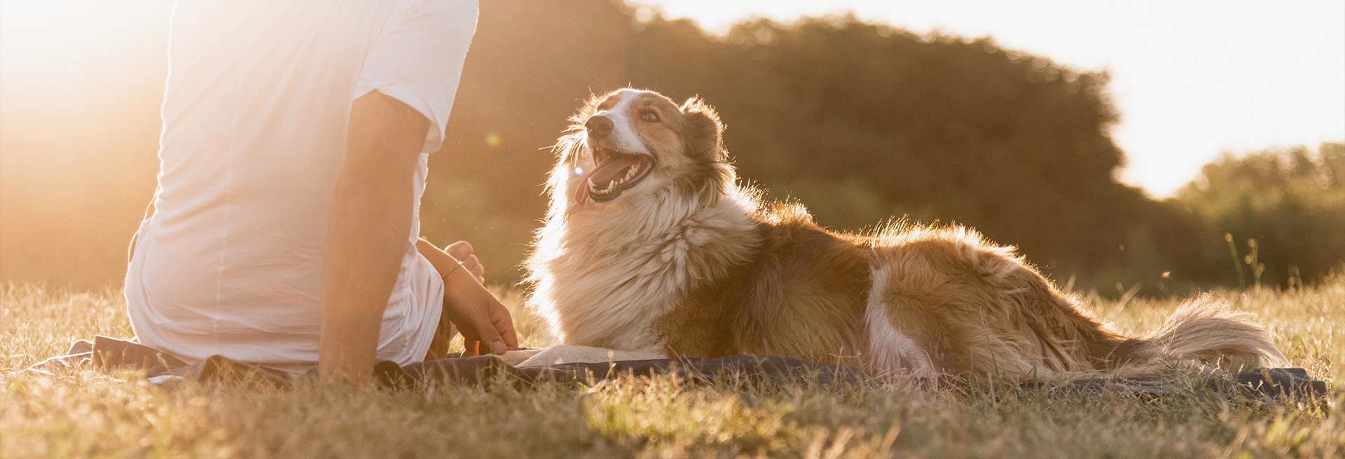 yd2333�ƶ�������Ϸ(�ɷ����޹�˾)-Baidu�ٿ�NO.1