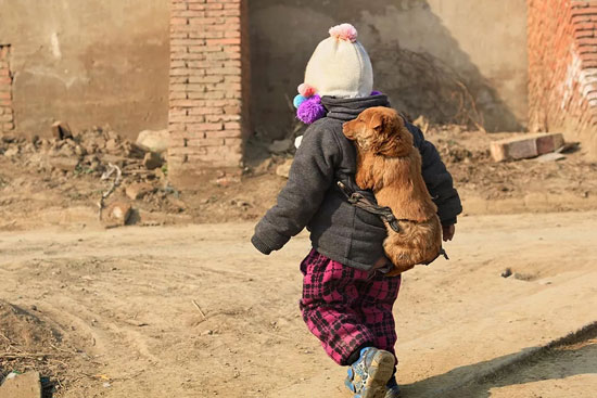 yd2333�ƶ�������Ϸ(�ɷ����޹�˾)-Baidu�ٿ�NO.1