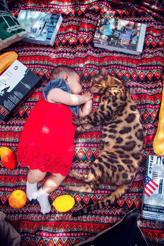 yd2333�ƶ�������Ϸ(�ɷ����޹�˾)-Baidu�ٿ�NO.1