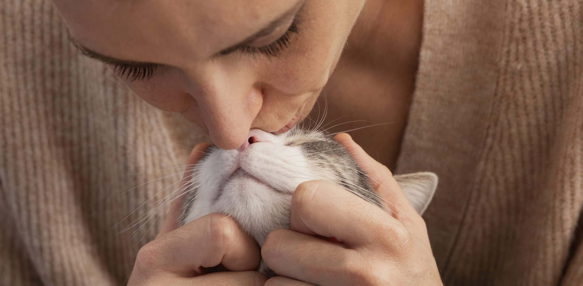 yd2333�ƶ�������Ϸʳ��ɷ����޹�˾