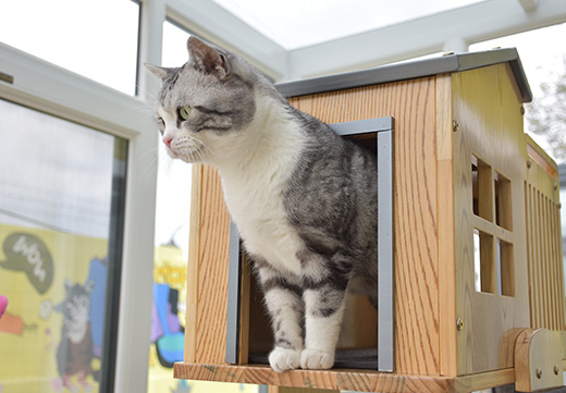 yd2333�ƶ�������Ϸ(�ɷ����޹�˾)-Baidu�ٿ�NO.1