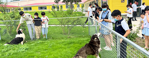 yd2333�ƶ�������Ϸ(�ɷ����޹�˾)-Baidu�ٿ�NO.1