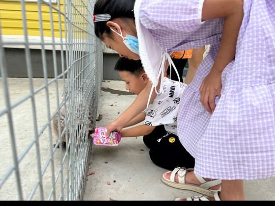 yd2333�ƶ�������Ϸ(�ɷ����޹�˾)-Baidu�ٿ�NO.1