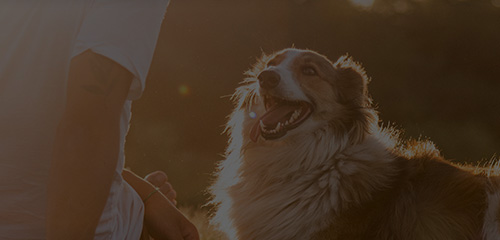 yd2333�ƶ�������Ϸ(�ɷ����޹�˾)-Baidu�ٿ�NO.1