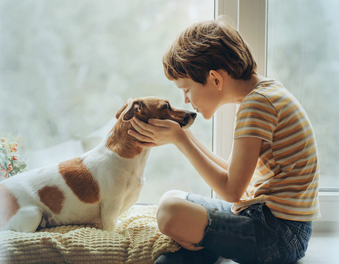 yd2333�ƶ�������Ϸʳ��ɷ����޹�˾